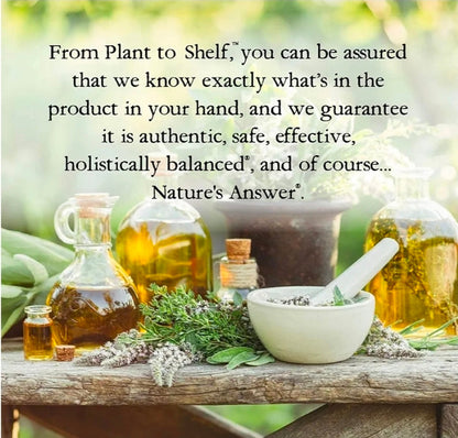 Nature's Answer Periobrite Cinamint Mouthwash| Promotes Healthy Teeth & Gums| Fights Bad Breath| Fluoride-Free, Alcohol-Free, Gluten-Free & Vegan| No Artificial Preservatives 16oz