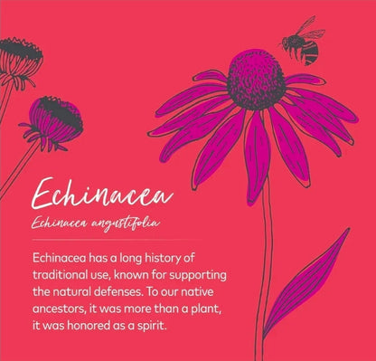 Gaia Herbs Echinacea Supreme - Immune Support Supplement - Echinacea Purpurea & Angustifolia Blend to Support Immune System - 30 Vegan Liquid Phyto-Capsules (15-Day Supply)
