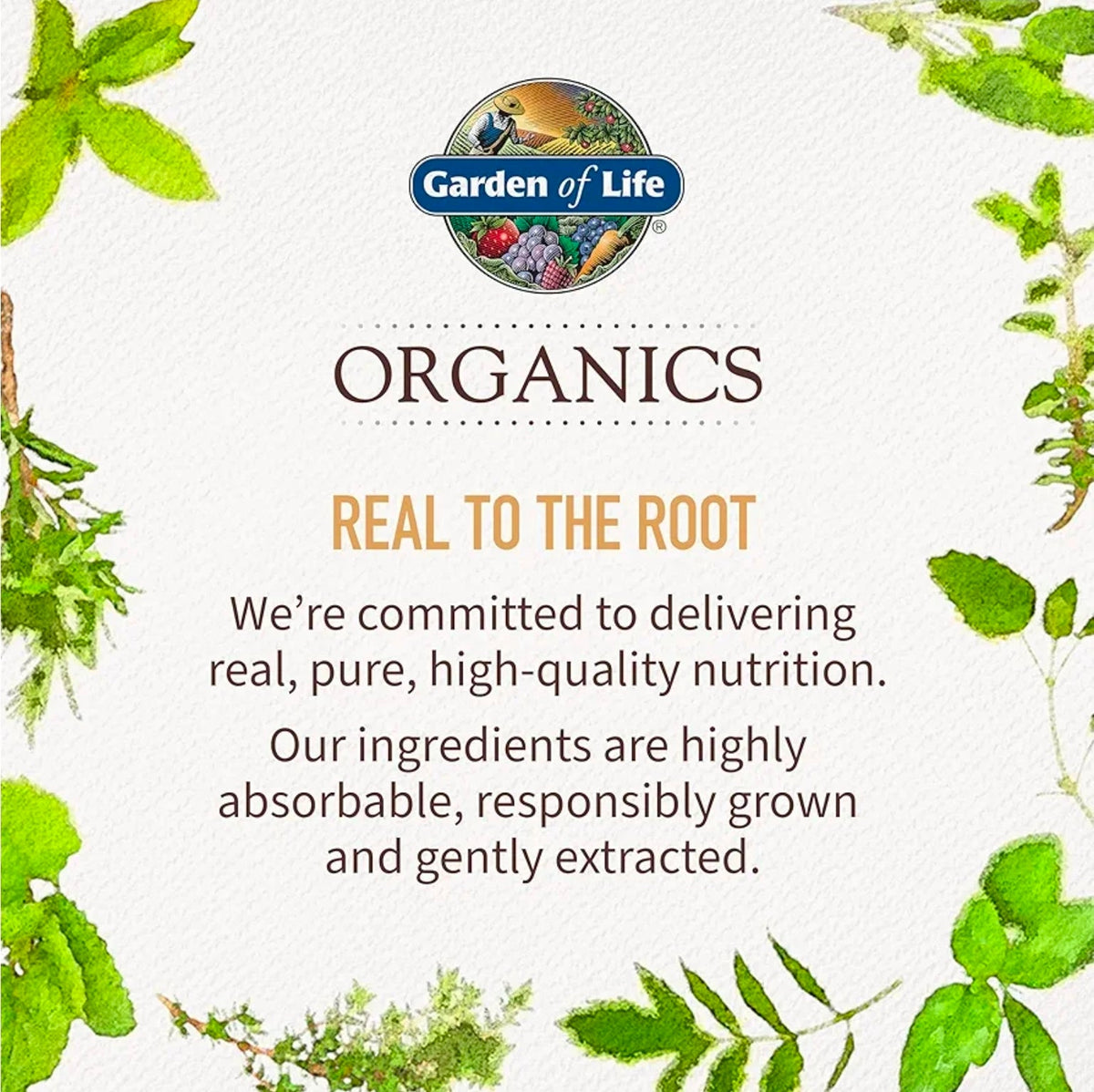 Garden of Life Organics Whole Food Multivitamin for Men 40+, 60 Tablets, Vegan Mens Multi for Health, Well-Being Certified Organic Whole Food Vitamins, Minerals for Men Over 40, Mens Vitamins